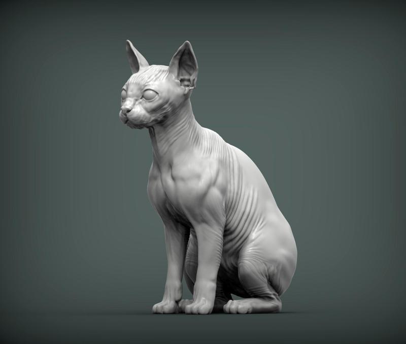 sphinx cat