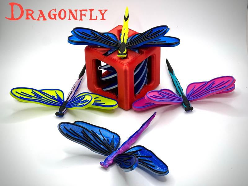 Colorful Dragonfly