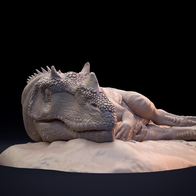 Ceratosaurus sleeping - dinosaur carnivore