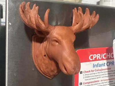 Trophy Moose magnet