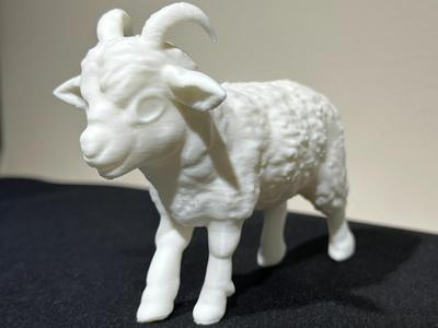 Realistic goat