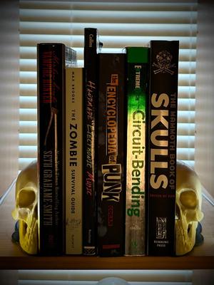 Skull Bookends