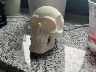 Skull
