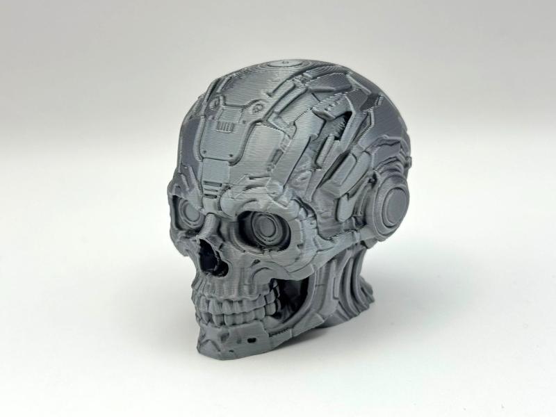Cyborg Skull