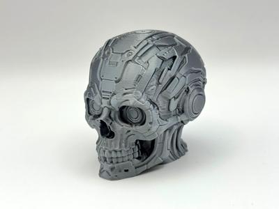 Cyborg Skull