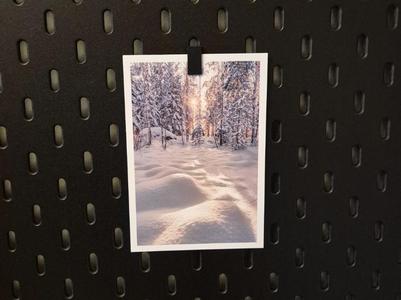 Skadis Clip – for Photos, Papers & Receipts