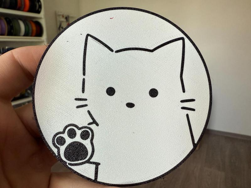 Cat paw coaster