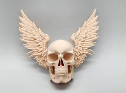 Winged Skull Wall Art - No Supports