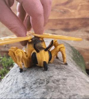Flexi Butterfly toy