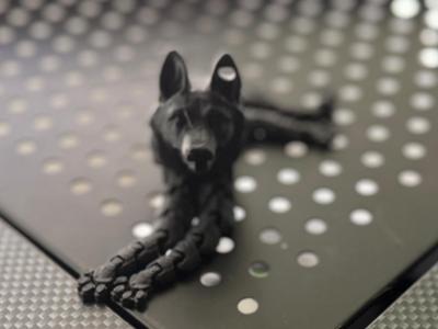 Flexi German Shepherd