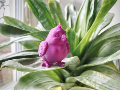 Chubby Parrot