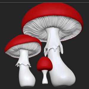 Amanita mushrooms, one piece and separate