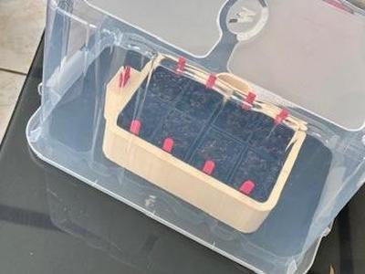 Watertight and level semi-reservoir back