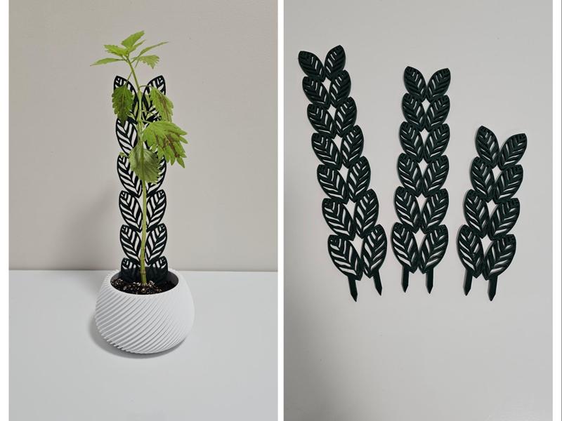 Support for plants. Plant Trellis. Leaves