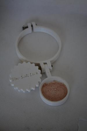 "The Salt Lick" - A Water Bottle Gadget