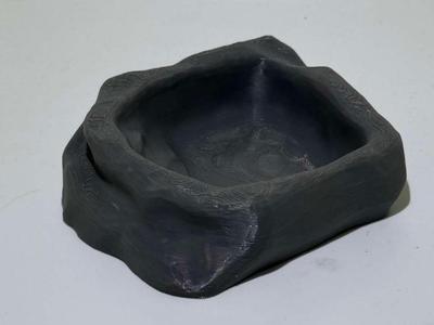 Friendly Reptile Dish