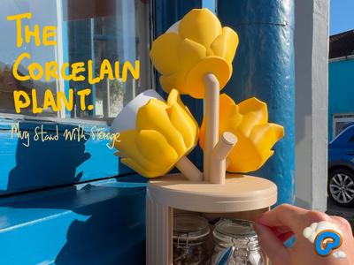 The Corcelain Plant