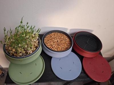 Round Microgreens Growing Tray (4-piece set)   