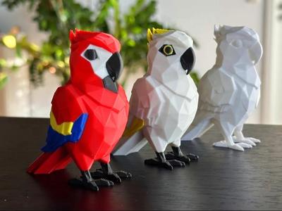 Cute low poly Parrot