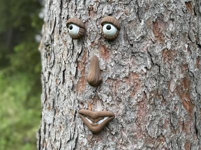 Tree Face With Multiple Expressions (AMS Needed)