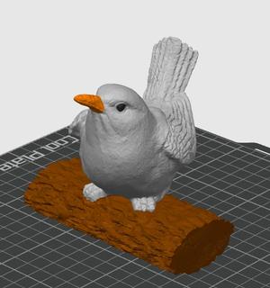 Bird on Branch 
