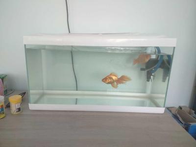 Aquarium Filter Holder – Custom 3D Printed Mount