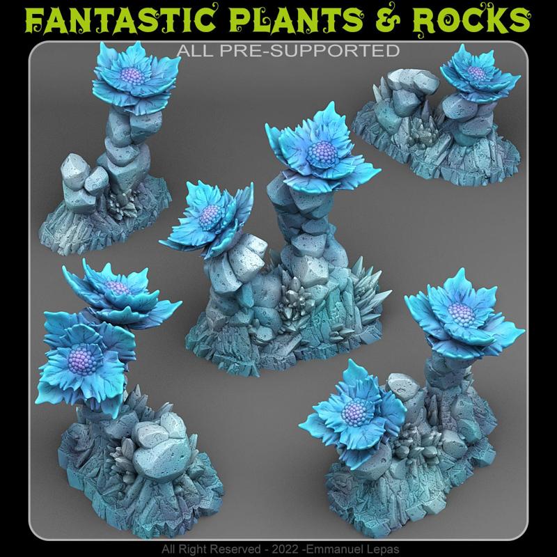 FROZEN FLOWERS