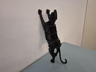 Cat Shelf