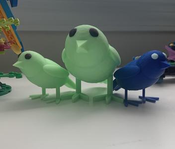 Peter The BEST Love Bird