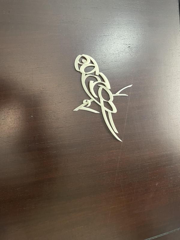Parrot_Typography