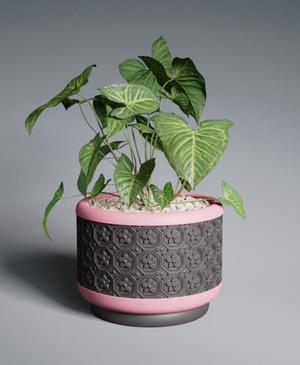 Planter Pot Sakura Honeycomb with Rounded Base