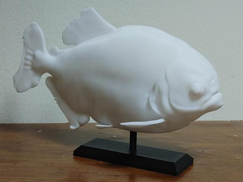 Piranha Fish Mount