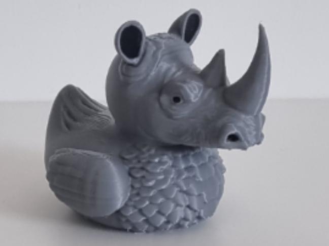 Rhinoceros Duck