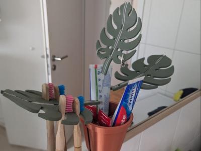 Mirror Monstera