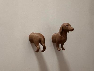 Dachshund Fridge Magnet