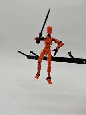 Wall displayfor (5x) Dummy 13