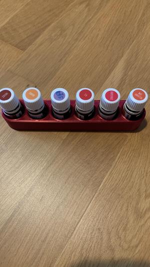 Young Living Essential Oil Organizer (Big and Small)