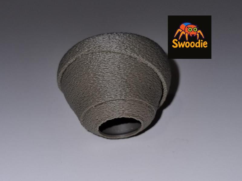 House for jumping Spider - Wild Wasp Nest -Terra