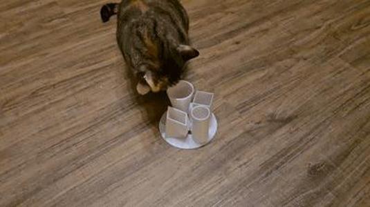 Cat Treat Toy
