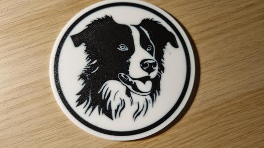 Border Collie Coaster V2