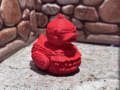 Pinata Duck