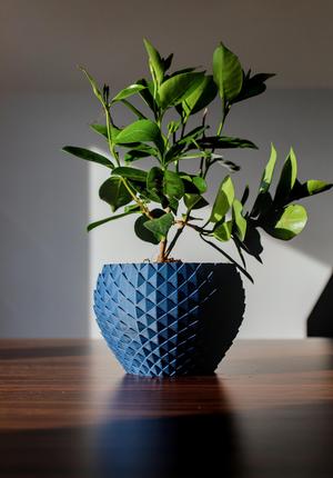 Dragon scale pot