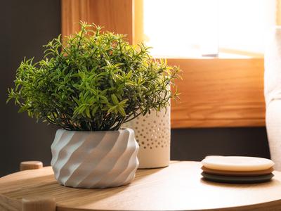 Organic Modern Planter