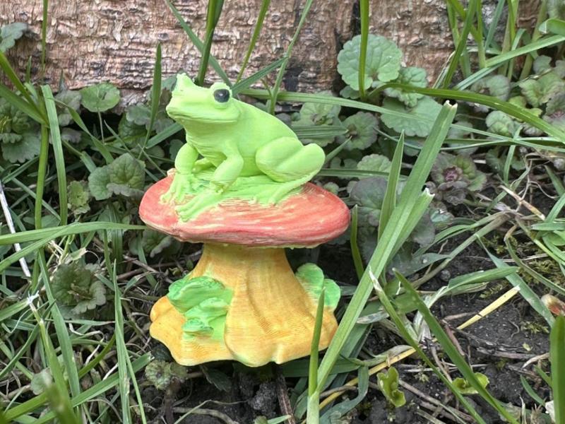Mushroom Frog