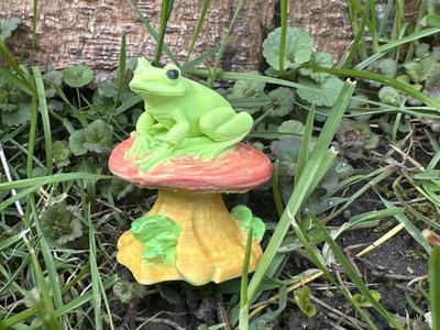 Mushroom Frog