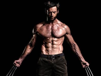 Wolverine Hugh Jakman XXL 