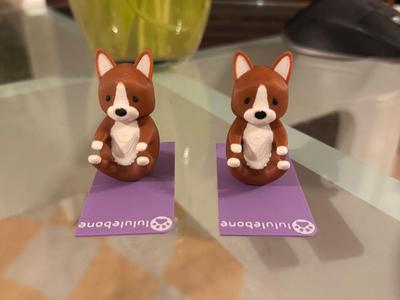 Corgis Doing Yoga - Navasana (Boat Pose)