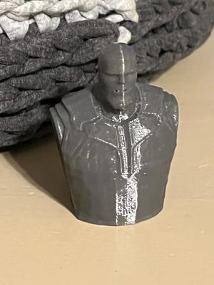 Thanos bust   