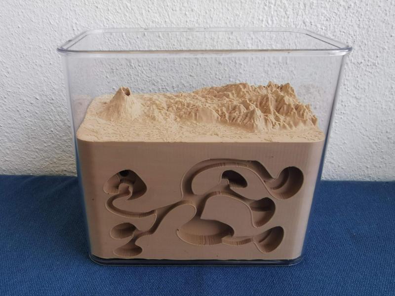 Compact ant nest with terrain
