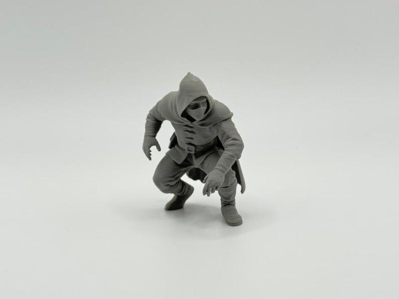 DnD Miniature Rogue 